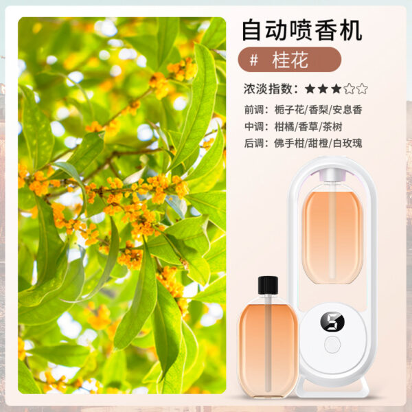 Essential oil for Aromatherapy sprayer - Small - Image 6